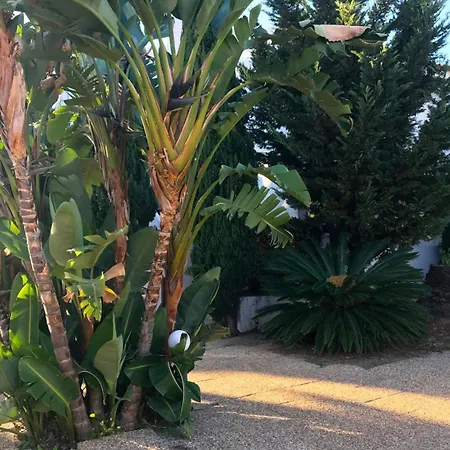 Lejlighedshotel Solar De Sao Joao