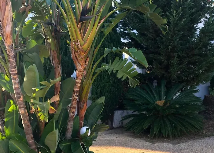 公寓式酒店 Solar De Sao Joao