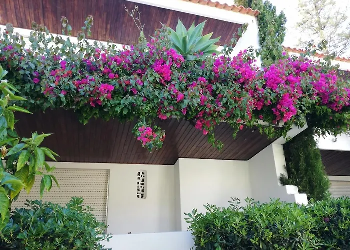 Solar De Sao Joao 阿尔布费拉